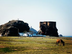 Fortress, Targha - By Team nhəḍṛu